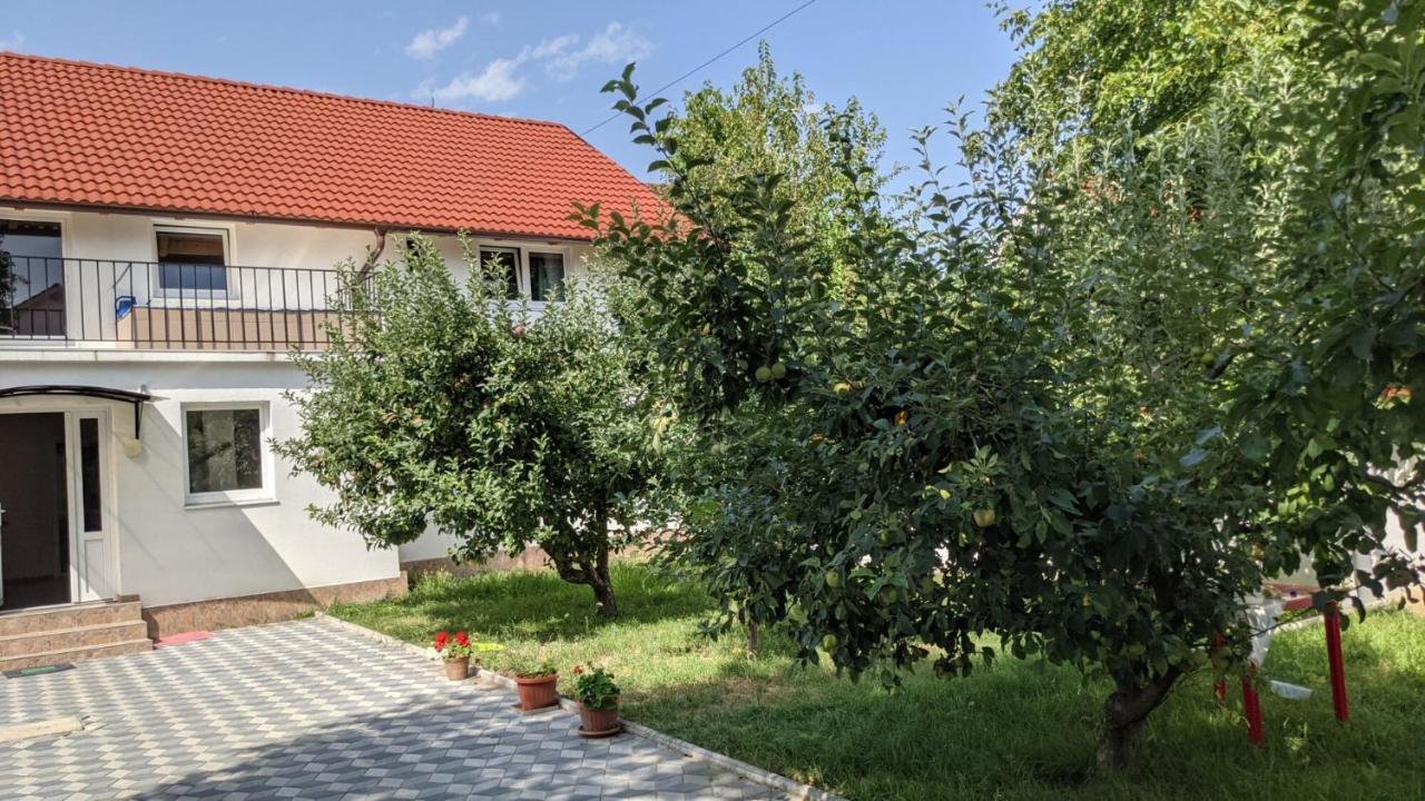 Casa Sommer Petresti Zewnętrze zdjęcie