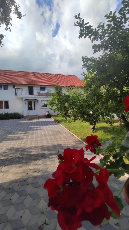 Casa Sommer Petresti Zewnętrze zdjęcie