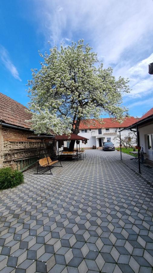 Casa Sommer Petresti Zewnętrze zdjęcie